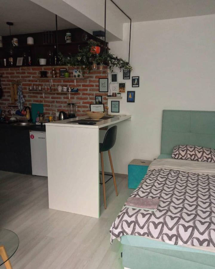 Park Apartment ฟอชา ภายนอก รูปภาพ